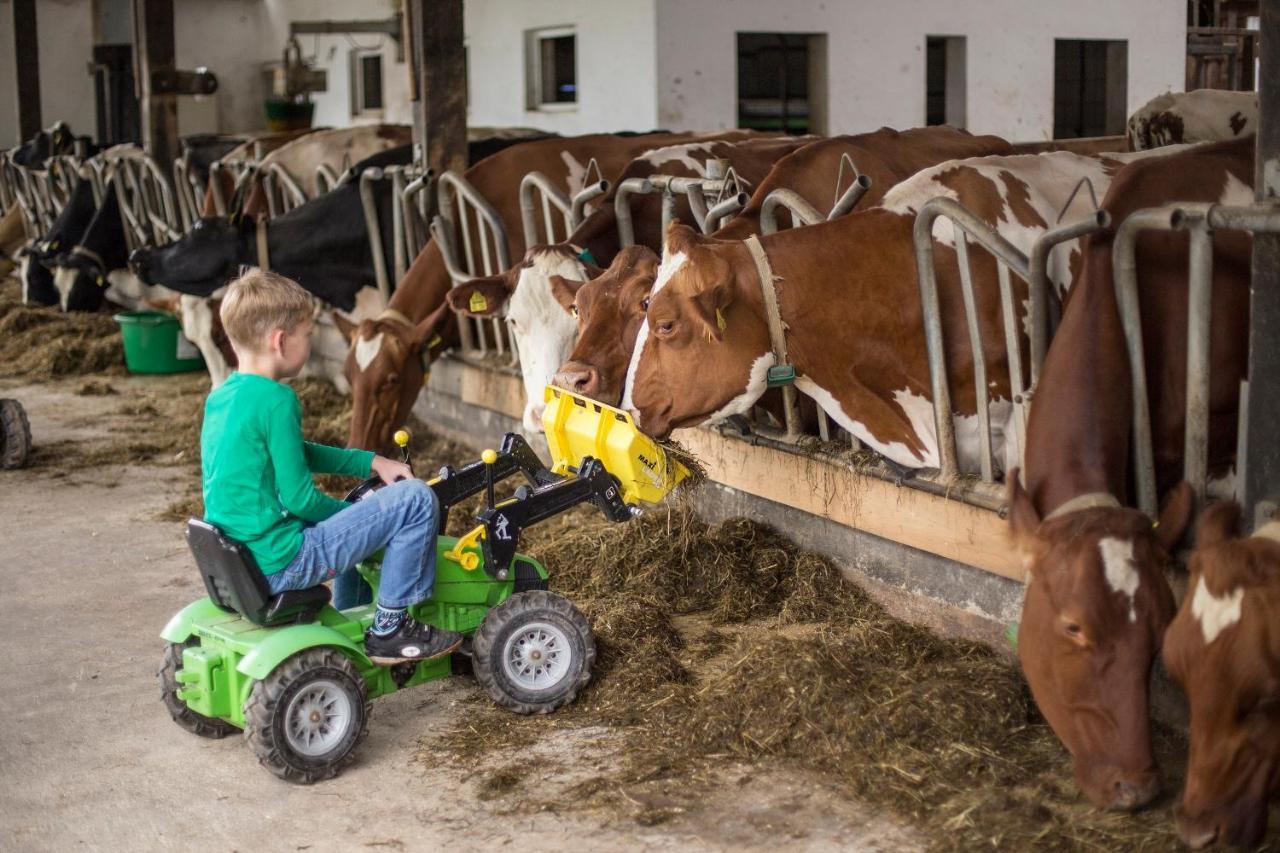 Ferienhof Richard Lennestadt Esterno foto